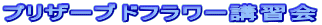�v���U�[�u�h�t�����[�u�K�� 