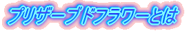 �v���U�[�u�h�t�����[�Ƃ�