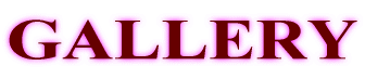 �M�������[ 