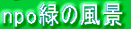 npo�΂̕��i 