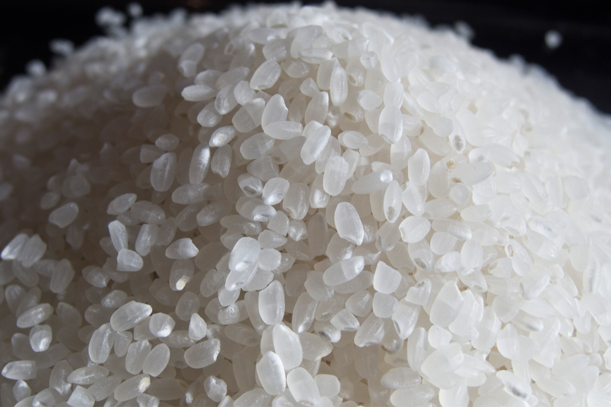 HTML5 Bootstrap Template by colorlib.com