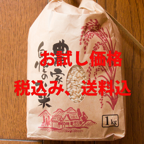 HTML5 Bootstrap Template by colorlib.com