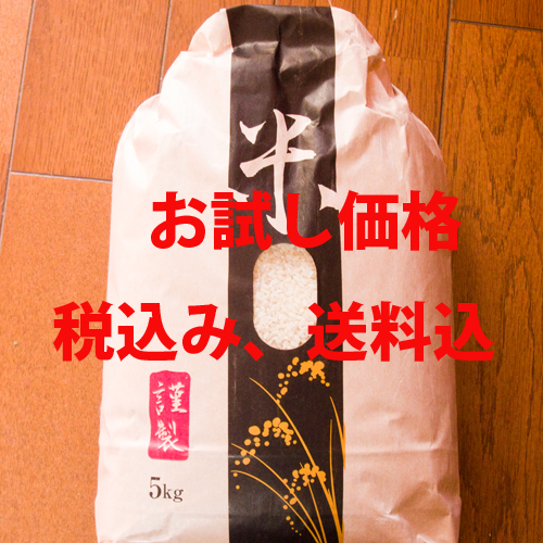 HTML5 Bootstrap Template by colorlib.com