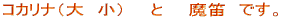 �R�J���i�i��@���j�@�@�Ɓ@�@���J�@�ł��B