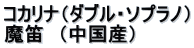 �R�J���i�i�_�u���E�\�v���m�j ���J�@�i�����Y�j