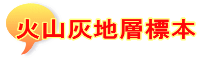 火山灰地層標本
